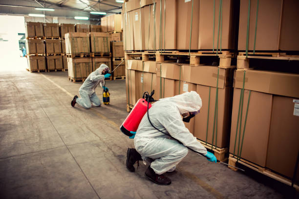 Best Best Pest Control Companies  in Shelburne Falls, MA
