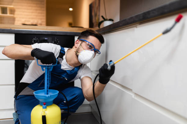 Best Termite Control Services  in Shelburne Falls, MA