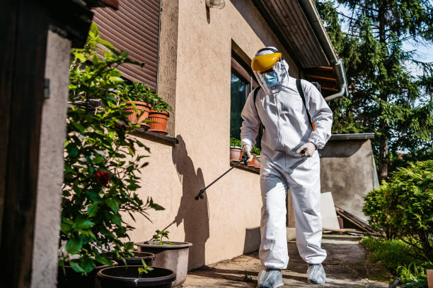Best Local Pest Control Services  in Shelburne Falls, MA