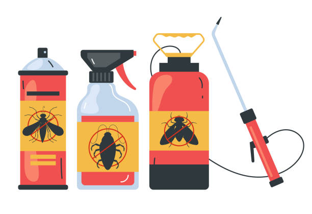 Best Spider Control Near Me  in Shelburne Falls, MA