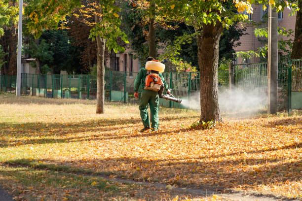 Best Mosquito Control Services  in Shelburne Falls, MA