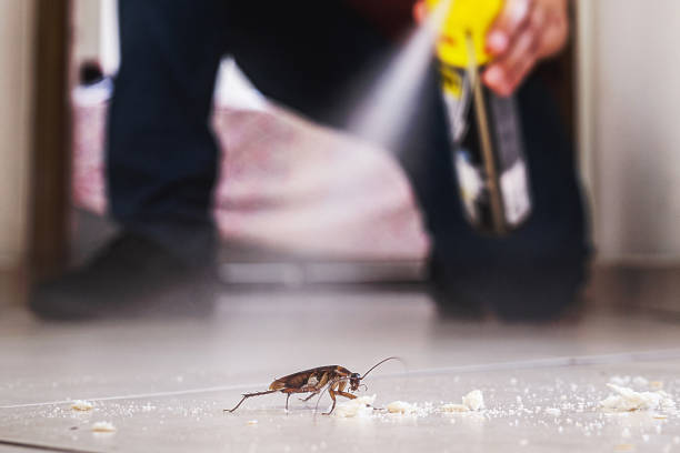 Best Mosquito Control Services  in Shelburne Falls, MA